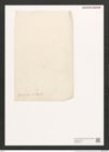Amphora grunowii A. Schm. (de-Toni-Nr.: Genus 36) Zeichnungen Sammlung Grunow (NHMW-BOT-W0370722)